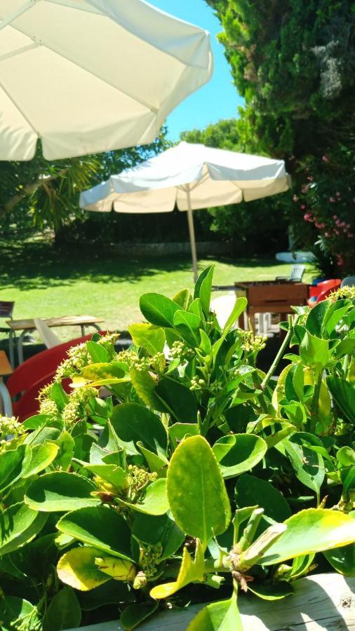 Cabana Do Sol Torres Vedras Ngoại thất bức ảnh