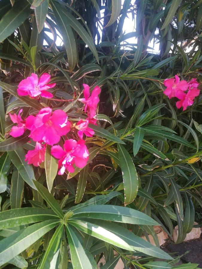 Cabana Do Sol Torres Vedras Ngoại thất bức ảnh